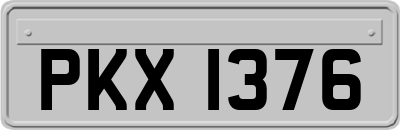 PKX1376