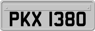 PKX1380