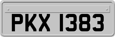 PKX1383