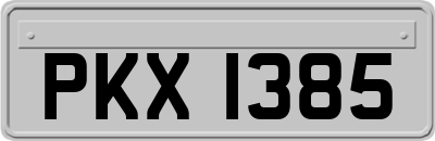 PKX1385