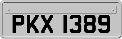 PKX1389