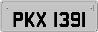 PKX1391