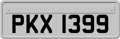 PKX1399