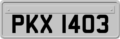 PKX1403