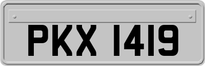 PKX1419