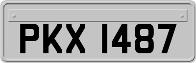 PKX1487
