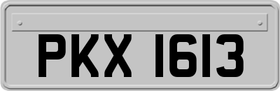 PKX1613
