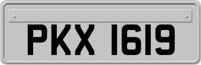 PKX1619