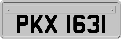 PKX1631