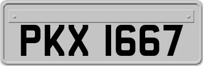 PKX1667