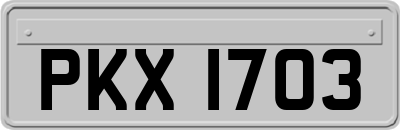 PKX1703