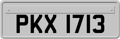 PKX1713