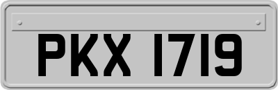 PKX1719
