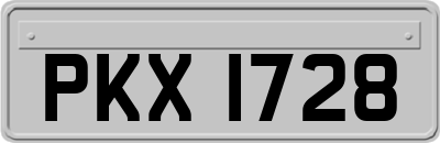 PKX1728