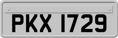 PKX1729