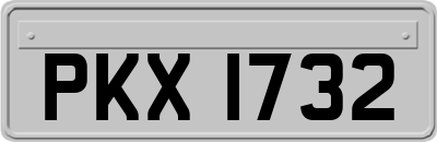 PKX1732