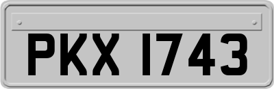 PKX1743