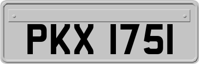 PKX1751