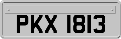 PKX1813