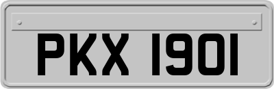 PKX1901