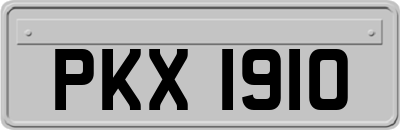 PKX1910