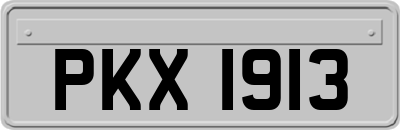 PKX1913