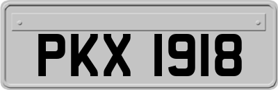 PKX1918