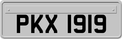 PKX1919
