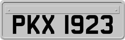 PKX1923