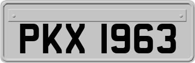 PKX1963