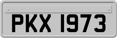 PKX1973