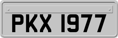 PKX1977