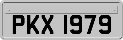 PKX1979