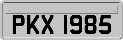 PKX1985
