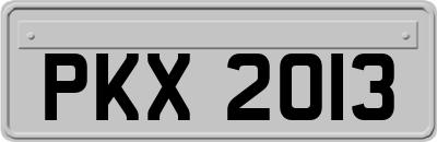 PKX2013