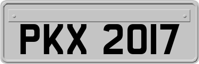 PKX2017