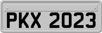 PKX2023