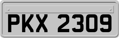 PKX2309