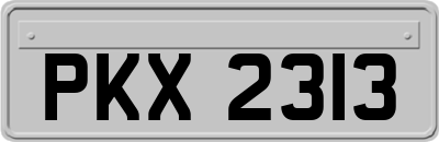 PKX2313