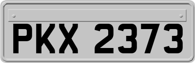 PKX2373