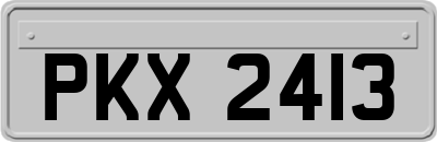 PKX2413