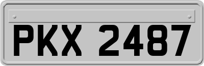 PKX2487