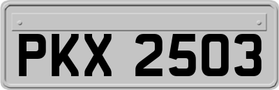 PKX2503