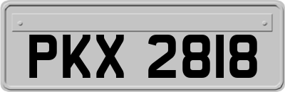 PKX2818