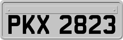 PKX2823