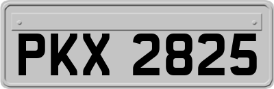 PKX2825