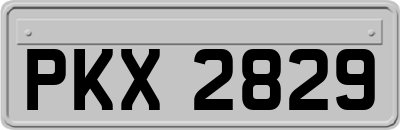 PKX2829