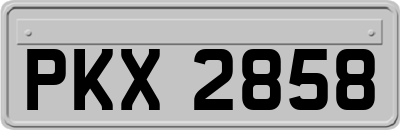 PKX2858