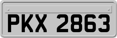 PKX2863