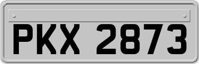 PKX2873